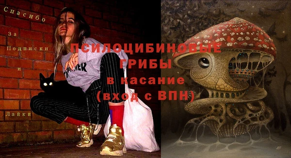 мяу мяу кристалл Мурманск