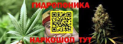 сатива Аргун