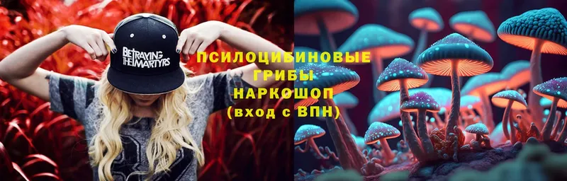 Галлюциногенные грибы Psilocybine cubensis  продажа наркотиков  hydra ССЫЛКА  Апшеронск 