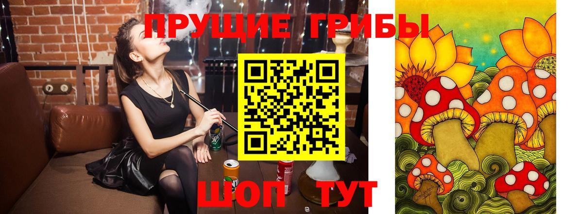 Апшеронск  Галлюциногенные грибы Cubensis  что такое наркотик  Вход с VPN 