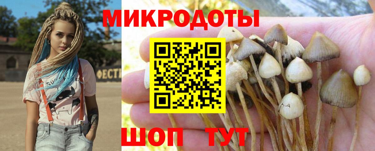 Галлюциногенные грибы GOLDEN TEACHER  Апшеронск 