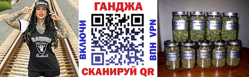 Канабис сатива  Апшеронск 